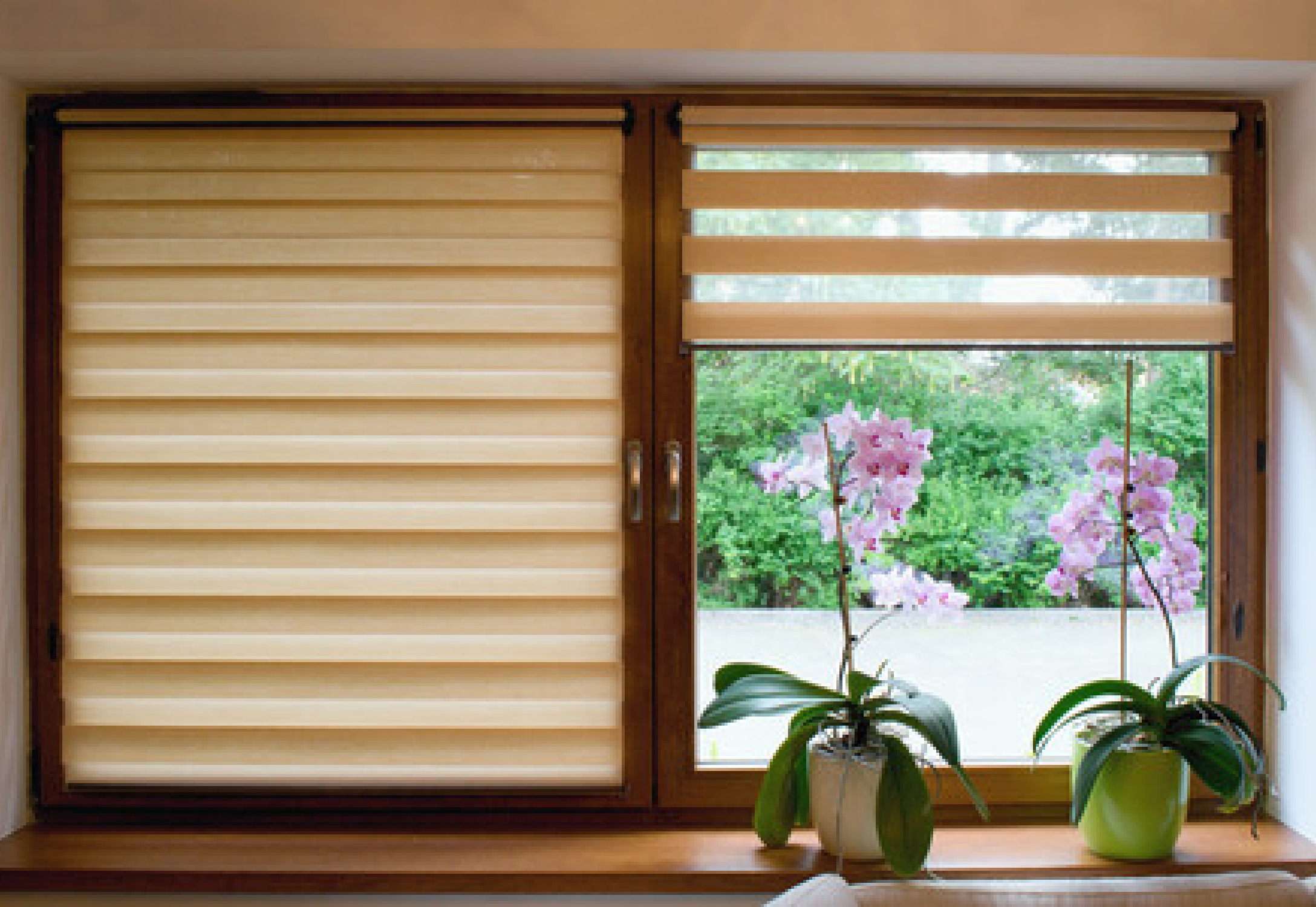 Blind Window treatments