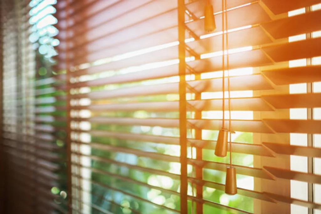 Window Blinds