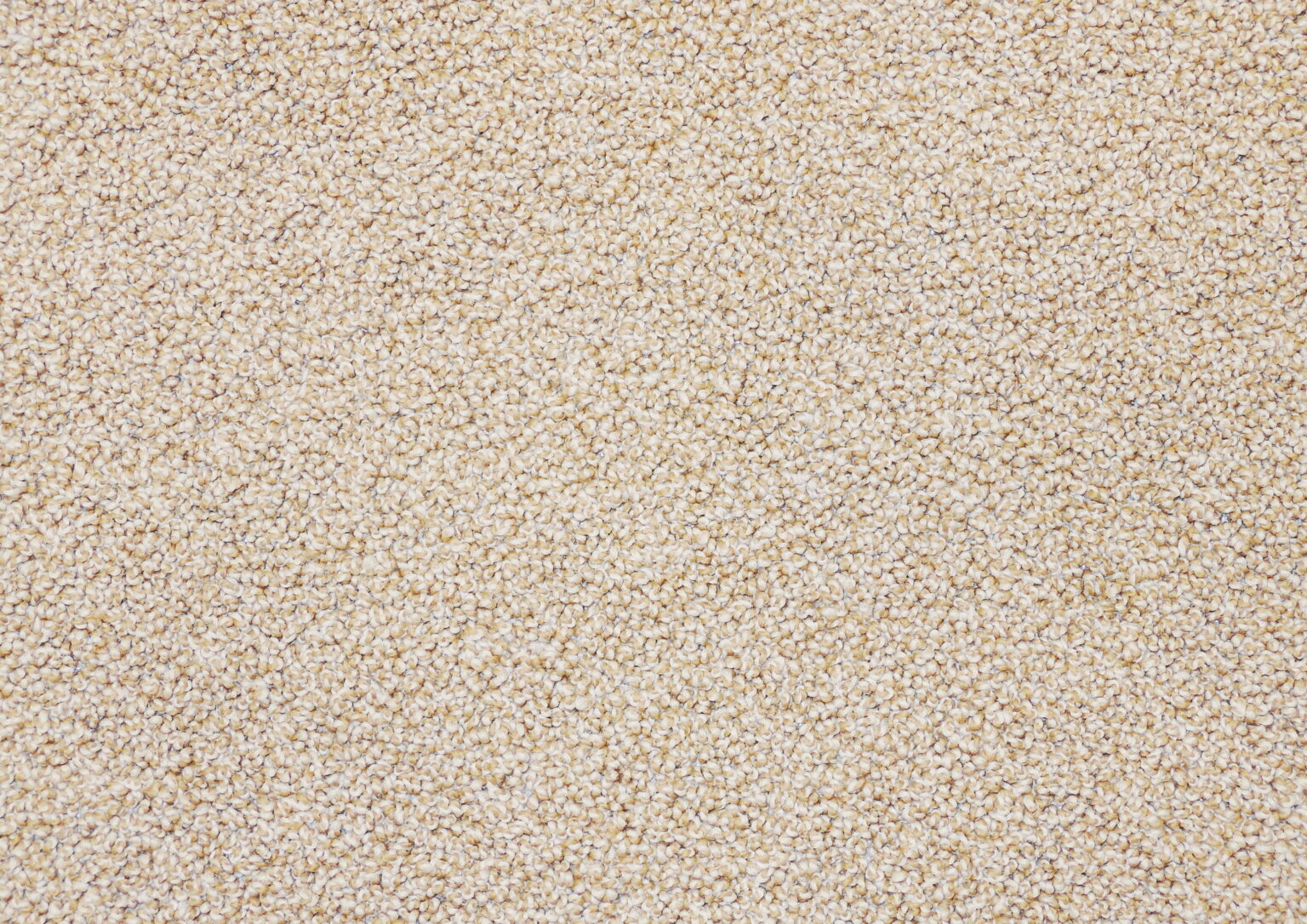 Premium Carpet Installation